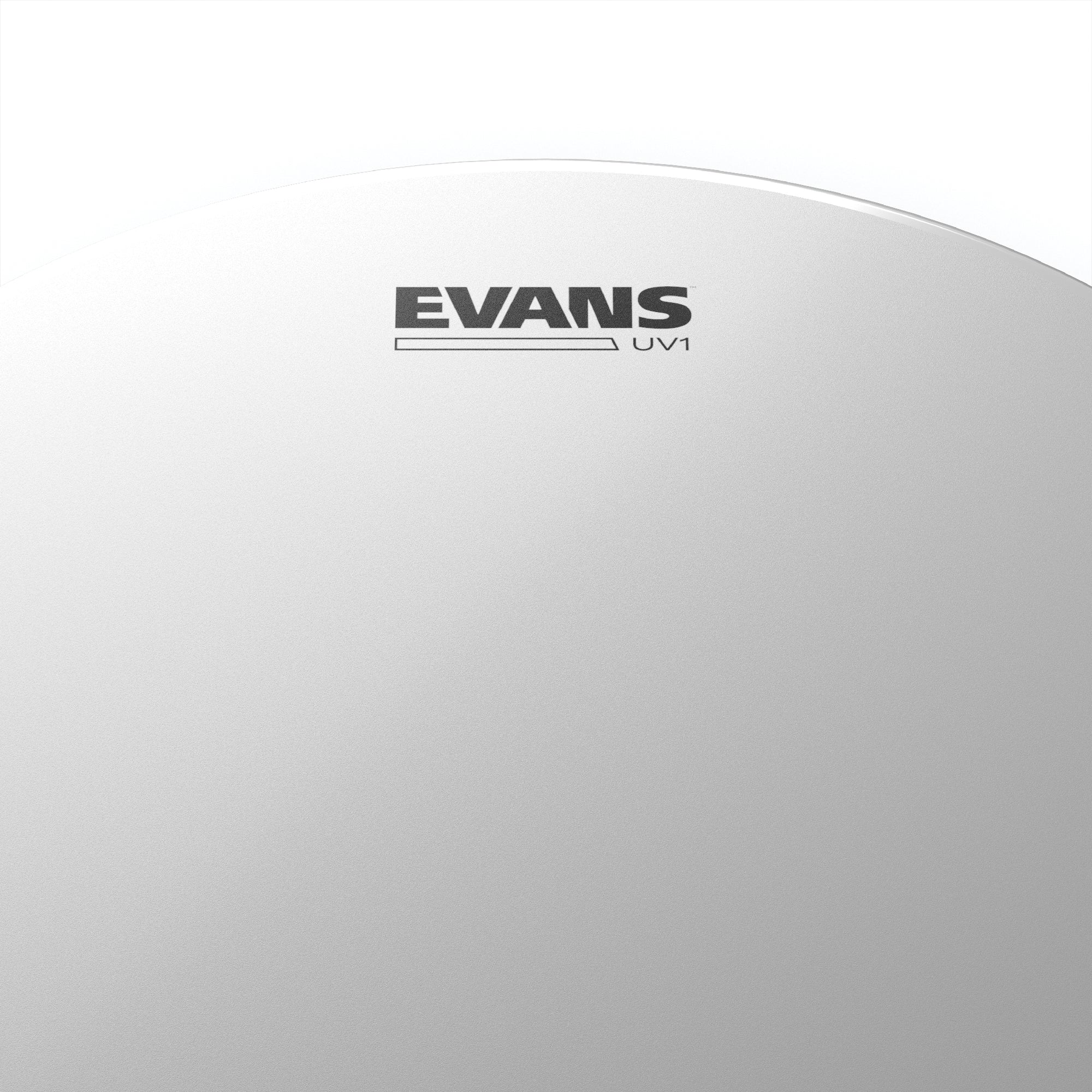 Evans B13UV1 13" UV-cured Coated 1-ply 10mil Drumhead B13UV1 Logo