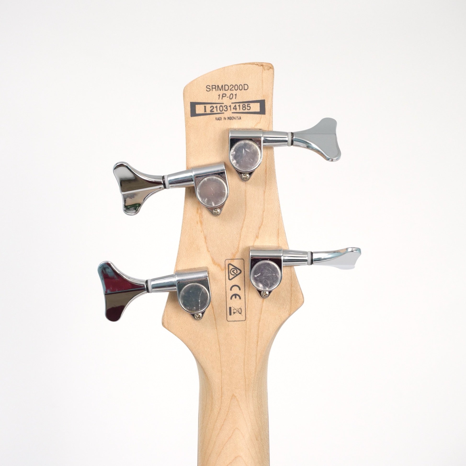 String Base Player String Bass Player