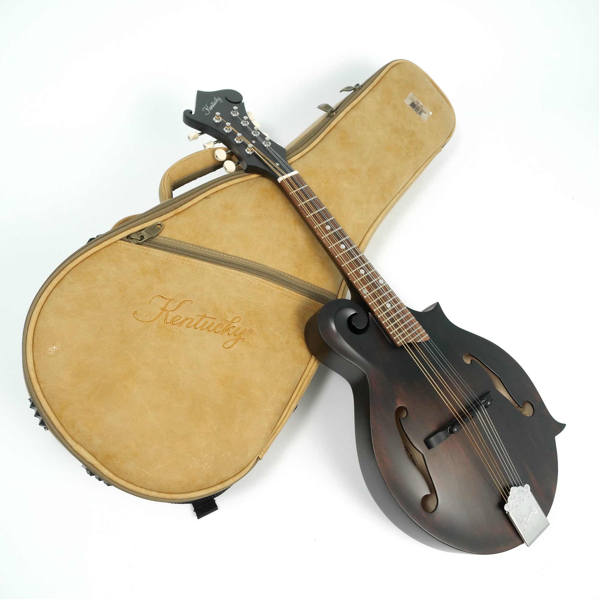 Kentucky KM-606 F-Style Mandolin with Soft Case Main