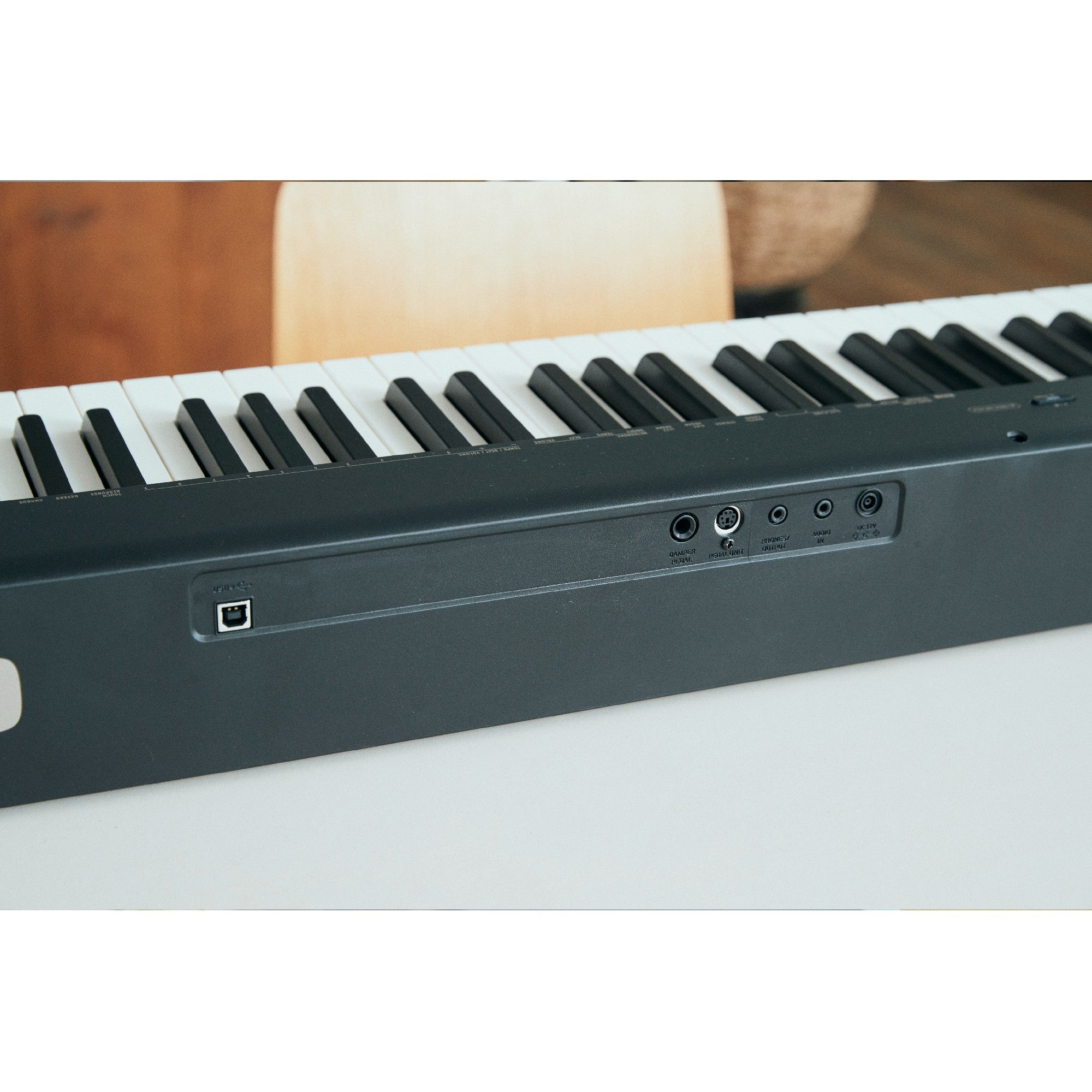 Casio CDP-S160 88-Key Digital Piano Back Center